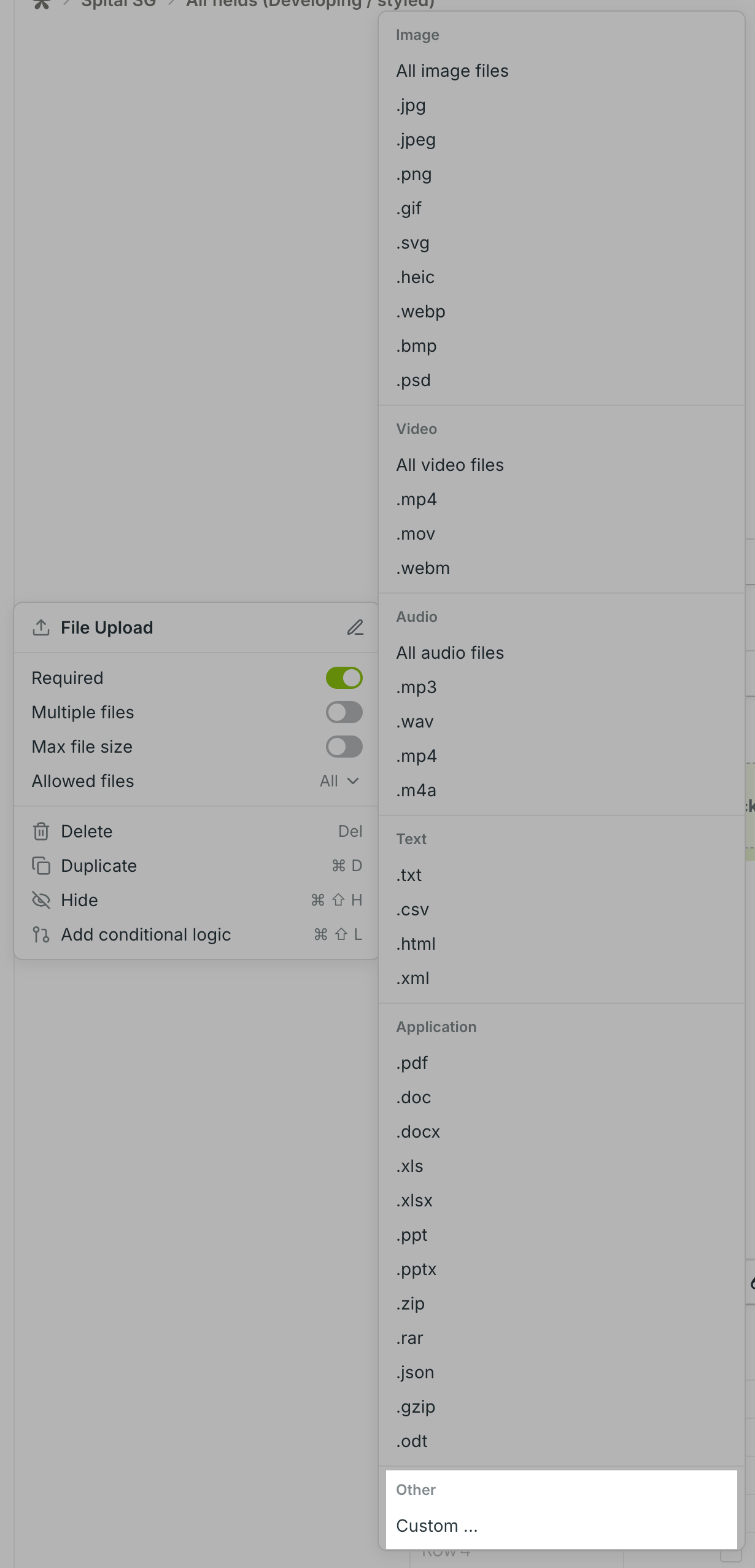 File Upload: Custom file types | Tally